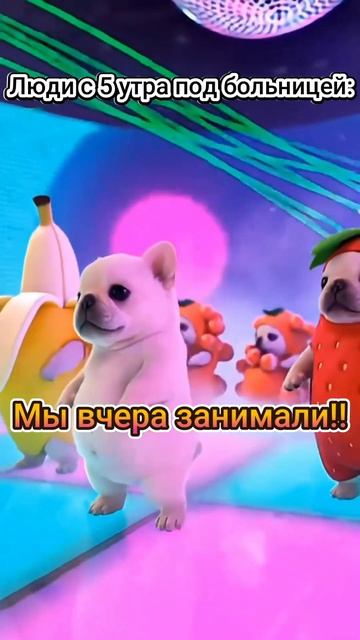 Каждый раз как последний #юмор #прикол #шутка #ситуация #sledushek