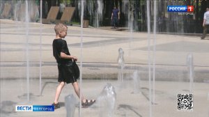 В Белгородскую область пришла аномальная жара