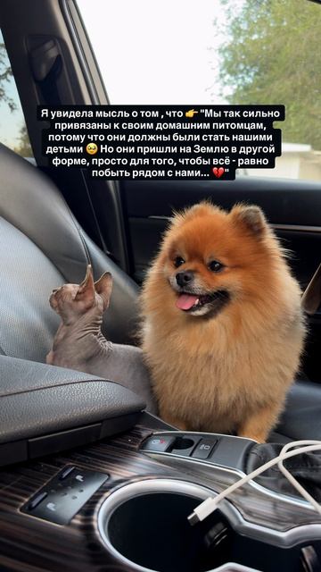 Всегда мечтала о двух сыновьях 🫶