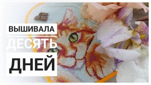 Продвижения за 10 дней МАЯ | Вышивка крестом