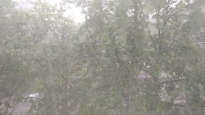 В Симферополе ливень, гроза 20.05.2026г.