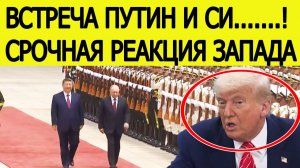 ⚡️Встреча Путина и Си Цзиньпина. Срочная реакция Запада на визит президента Росси в Пекин