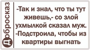 -Так и знал, что ты тут живешь,- со злой ухмылкой сказал муж. -Подстроила, чтобы из квартиры выгнать