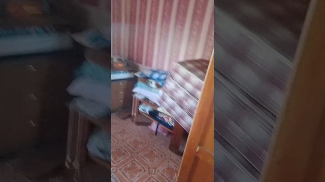 VID_20260517_103754