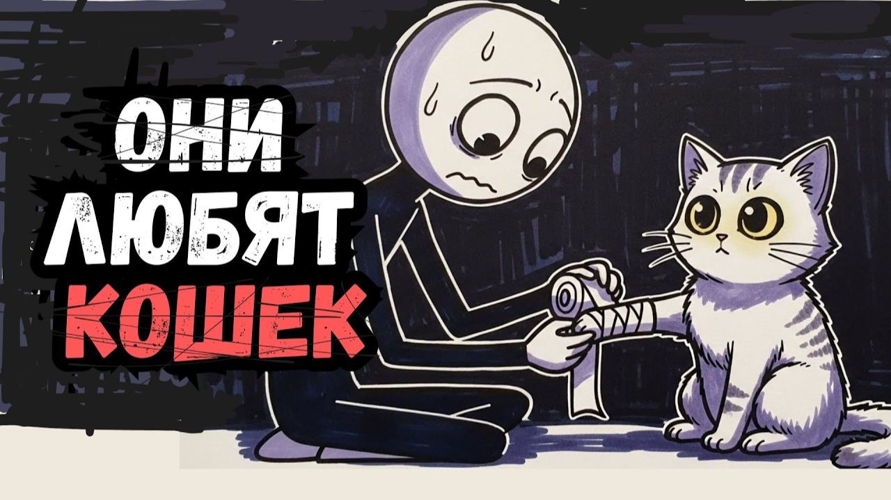 Психология Людей, Которые Любят Кошек: 6 черт