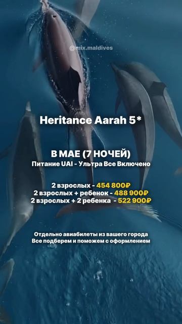 Специальная цена на отель 😻