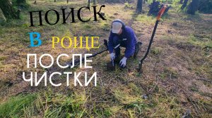 Коп в роще у заправки.