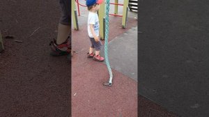 ДЕТСКАЯ ПЛОЩАДКА
