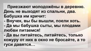 Встречаются два мужика! Пикантные, Смешные, Остренькие, Жизненные Анекдоты! Юмор! Смех! Позитив!