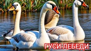 Гуси Лебеди | Русские народные сказки | Сказки детям 📚 #детям #сказка #аудиосказка
