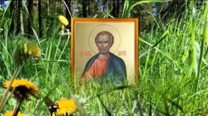 23 мая день Симона. В этот день не оставляйте кошелек пустым, а еще загадайте пророческий сон.