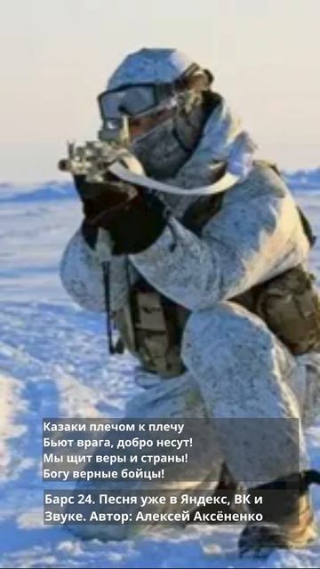 БАРС 24 1 (2)