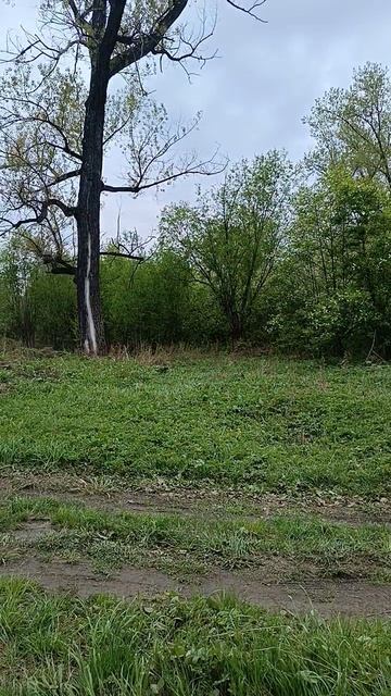 Доброе утро
20.05.26