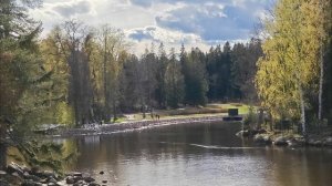 Парк Монрепо. Выборг. 05.2026