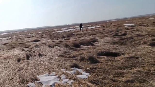 Трудовой коп / поиск монет с металлоискателем смотреть онлайн
