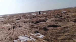 Трудовой коп / поиск монет с металлоискателем