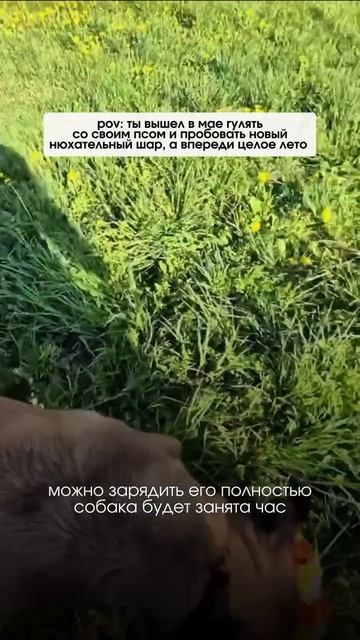 «Эти ваши тряпочки нам на 5 минут». А что теперь скажете?))