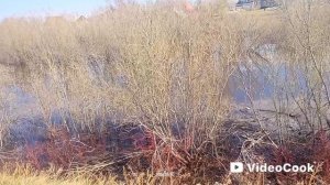 Подготовка машины и себя к рыбалке. Вода мутная,на речке коряги.