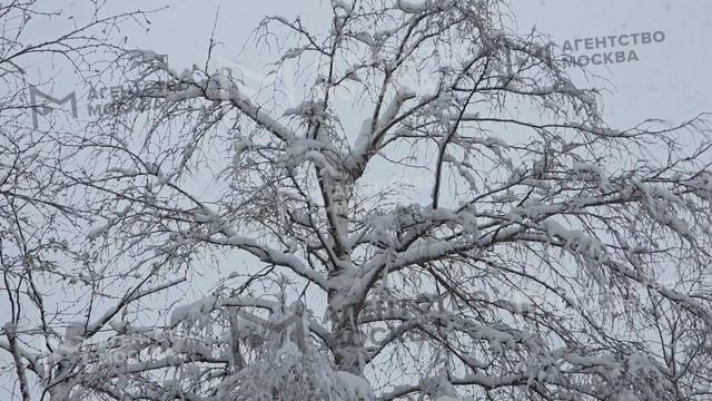 Снегопад в Москве