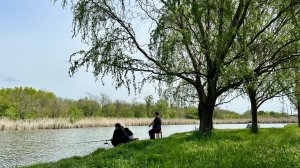 Звуки природы майской весной в Краснодаре