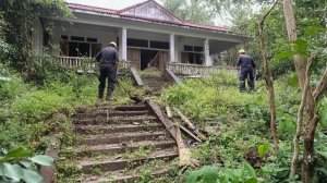 Приводим в порядок заброшенный дом. Уборка сухих веток и мусора. Удивительное преображение