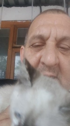 Надо найти для этой малышки добрые ручки! 
#БелыйАнгел #помощьживотным #котёнок  #волшебники