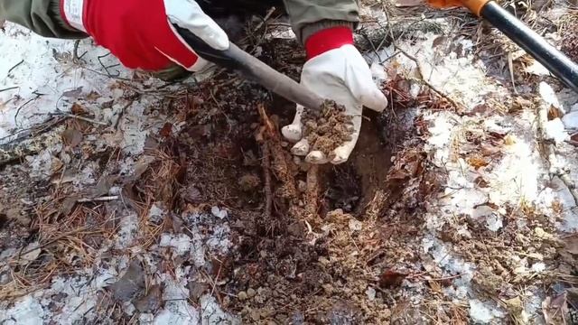 Трёхдневный выезд. Часть 1. / поиск монет с металлоискателем смотреть онлайн