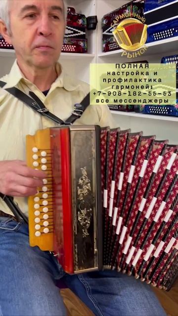 Настройка и профилактика гармоней +7-908-182-55-53 все мессенджеры #купитьгармонь #ремонтгармони