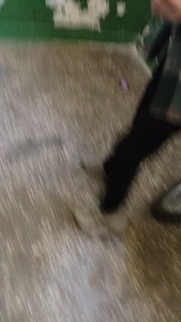 неодыкват опять напал только на женю