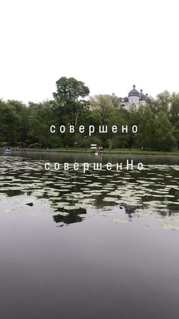 Совершено-СовершенНо🌟