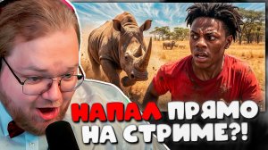 РЕАКЦИЯ T2x2: Дикие ЖИВОТНЫЕ напали на стримеров ПРЯМО НА СТРИМЕ! ЖЕСТЬ...