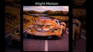 Эдит машина кот 𝖋𝖔𝖝𝖝
