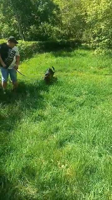 отдыхпрогулкалайкподпискаракета