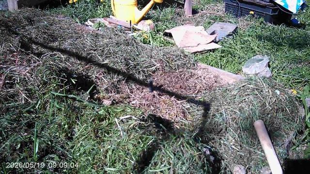 КАБАЧКАМ ПРИОРИТЕТ плевать на заморозки