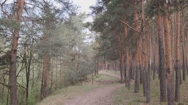 Негативное общение на работе и не только