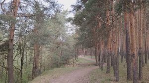 Негативное общение на работе и не только