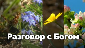 Разговор с Богом | С любовью к русской природе