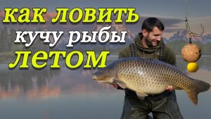Как правильно поймать рыбу.