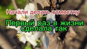 Начали делать отмостку в доме ///Первый раз в жизни НЕ сделала это