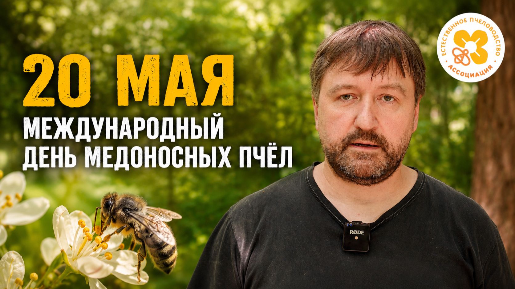 20 мая — Международный день медоносных пчёл!