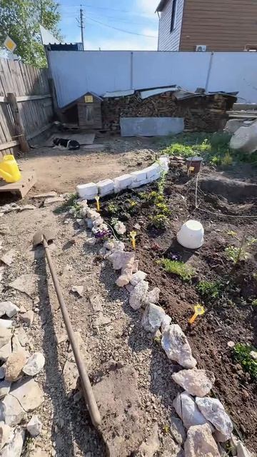 Фронт работ. Посадка цветов #уралочка #огород #цветы