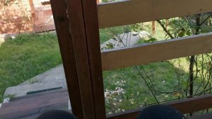 СОЧИ ШОРНОЕ ЛОО ВЕЧЕР 20.05.2026