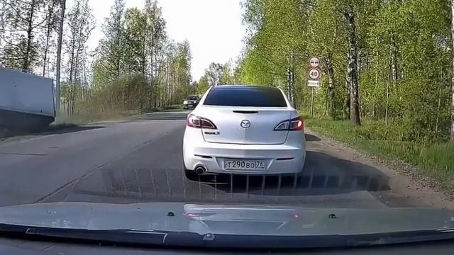 Лось сбил Газель