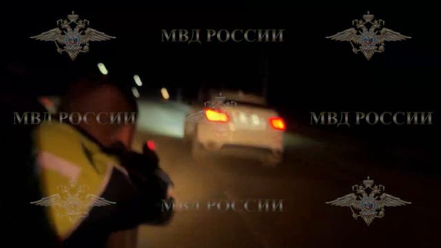 Ирина Волк: В Туве госавтоинспекторы применили оружие для остановки нетрезвой нарушительницы