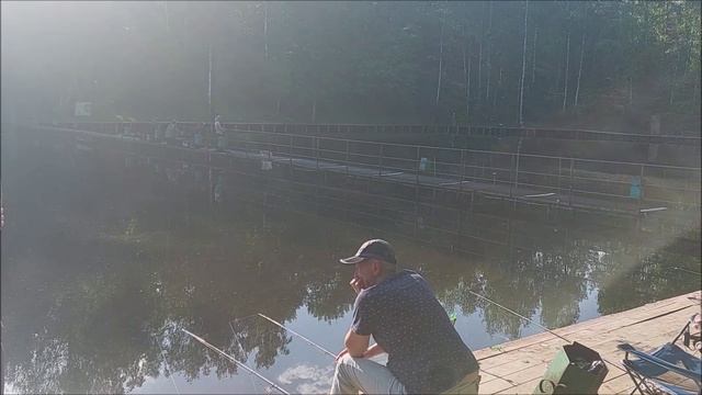 Утренний обзор с нижнего водоёма. Клёвое место, Лосиный остров.