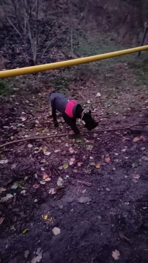 Video.Guru_20240904_143621265