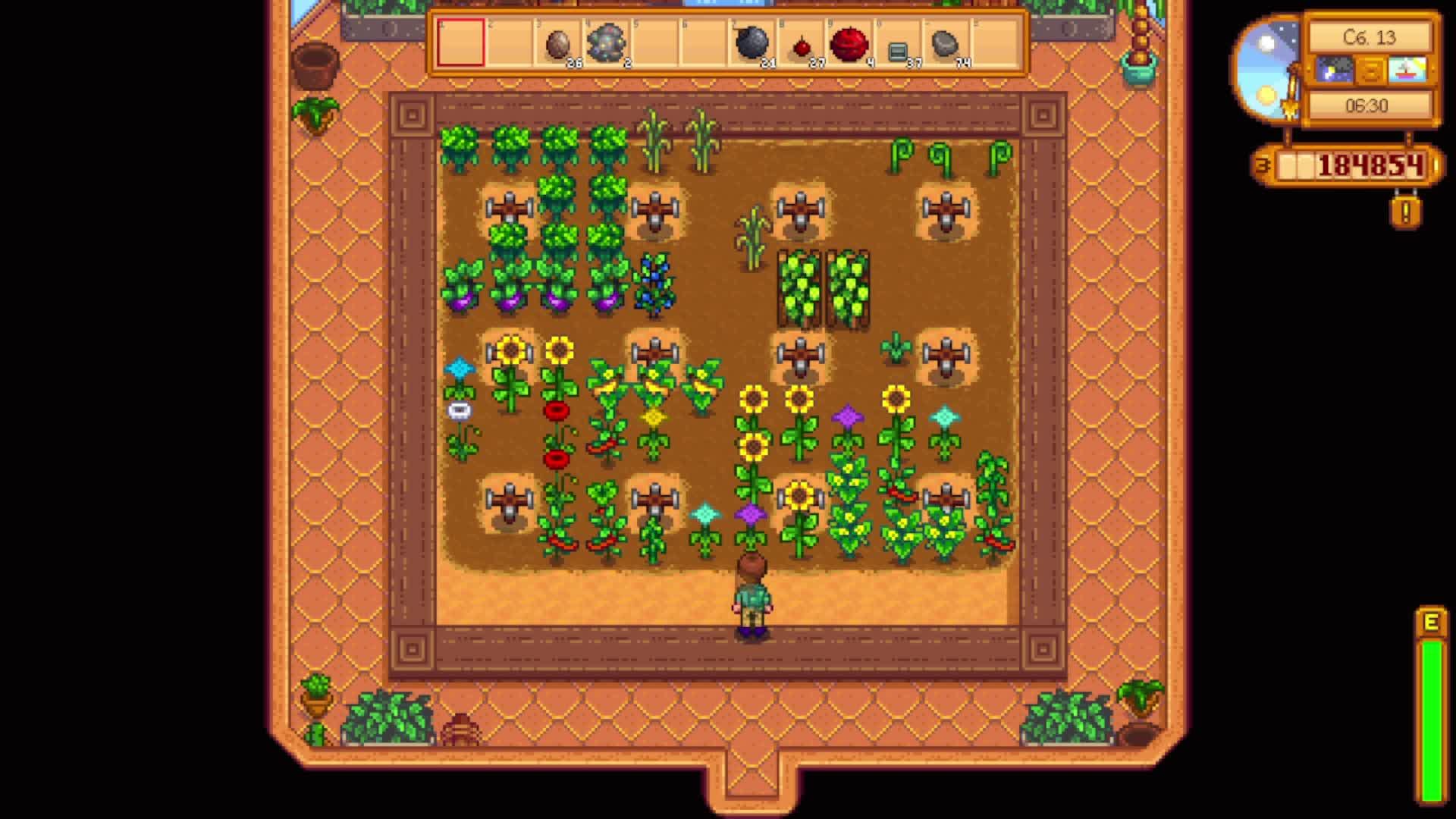 Stardew Valley смотреть онлайн