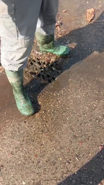 Рабочие моменты.