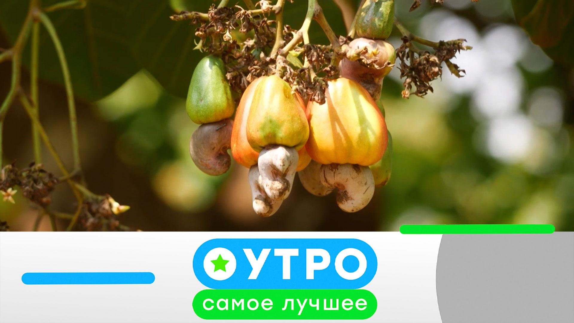 «Утро. Самое лучшее». 20 мая 2026 года