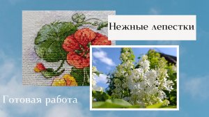 20-05-2026 Обзор готовой работы Лепестки нежности Жар-птица